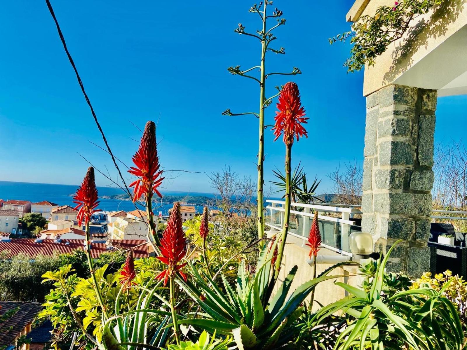 Villa Montalbo Vue Mer De 2 A 10 Personnes Cargese Exterior photo